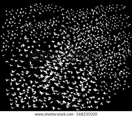 90+ Bird Silhouette Vectors | Download Free Vector Art & Graphics ...