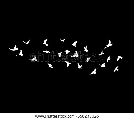 bird stencils free printable profile of a bird clip art bird white bird clipart stunning free transparent png clipart images free download