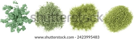 Cercidiphyllum japonicum Pendulum,Crataegus laevigata Paul’s Scarle trees shape top view cut out transparent backgrounds 3d rendering