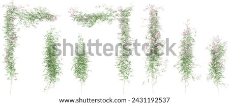 Isolated Pink bower vine leaves in 3d rendering on white background