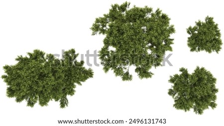 Similar – Image, Stock Photo single tree in a beam of light between many trees in the forest