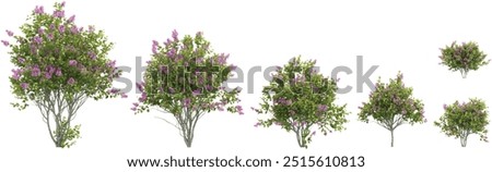 Similar – Image, Stock Photo A lilac branch stands in a blue glass bottle, casting a beautiful shadow on the gray floor of an old Lost Place.