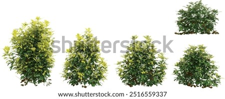 3d rendering of Goldfingers trees on transparent background