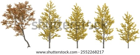 3d illustration of Acer,Ginkgo trees on transparent background