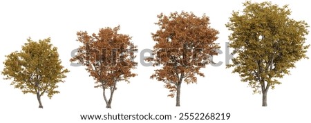 3d illustration of Acer trees on transparent background