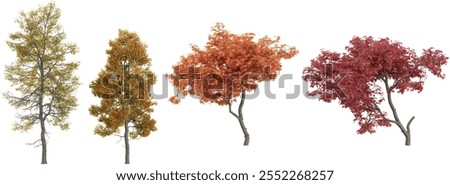 3d rendering of Acer plants on transparent background 