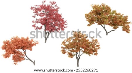 Collection of Acer plants on transparent background