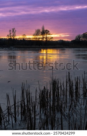 Similar – hoarfrost against the light