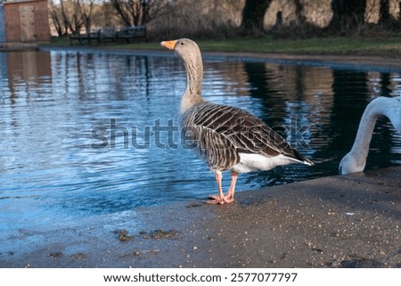 Similar – Image, Stock Photo Bulky with edges in fixed frame