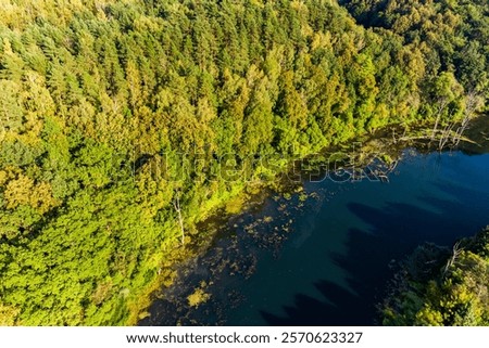 Similar – Image, Stock Photo Lake flowing near green trees