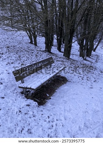 Similar – Image, Stock Photo Lonely benches in a park.