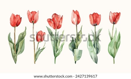 Similar – Image, Stock Photo Tulips bouquet tulips