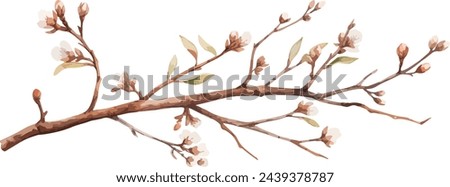 Watercolor illustration willow branches and tree branch without leaves. Brown dry straight twig. Isolated on a white background. Spring floral easter elements. For holiday print design