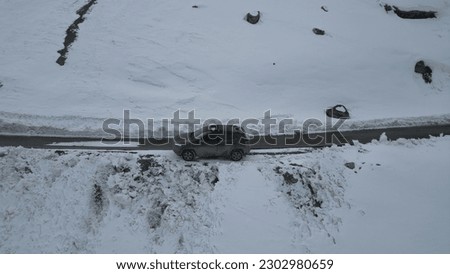 Similar – Image, Stock Photo Animal crosses the piste at high speed