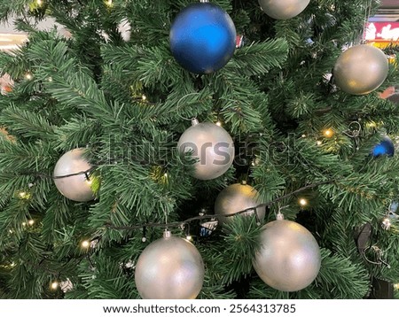 Similar – Image, Stock Photo Blink Tree Colour photo