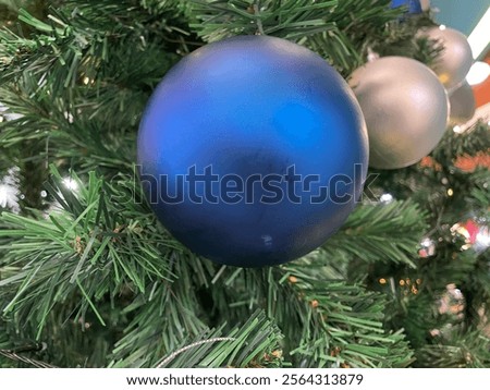 Similar – Image, Stock Photo Blink Tree Colour photo