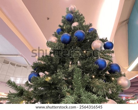 Similar – Image, Stock Photo Blink Tree Colour photo