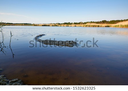 Similar – Image, Stock Photo therapeutic lake with iodine and minerals