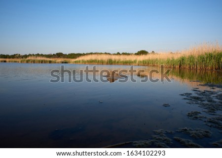 Similar – Image, Stock Photo therapeutic lake with iodine and minerals