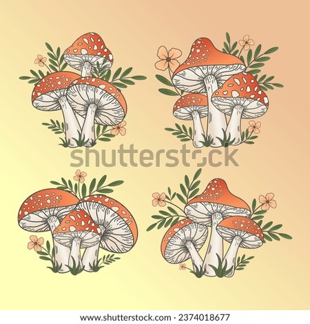 Similar – Image, Stock Photo Amanita muscaria mushroom at the woods