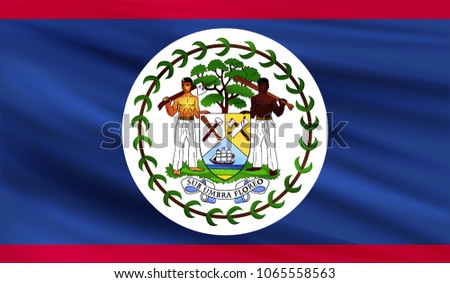 Realistic waving flag of the BELIZE,Fabric textured flowing flag,vector EPS10