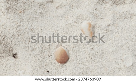 A photo of seashells and sandy beach.

Recommended when you want to express summer or create a refreshing look. 商業照片 © 