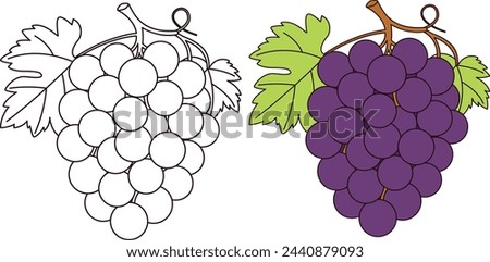 Grape Coloring Page Vector Illustration