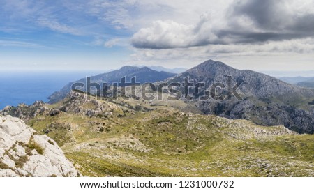 Shutterstock Puzzlepix - 