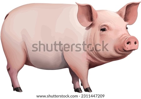 Vintage style, beautiful and realistic illustration of a cute pink pig portrayed from the side