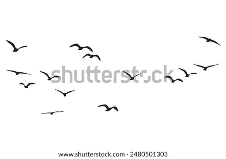 Flying birds silhouettes on White background, Vector illustration, isolated bird flying, Birds vector, Flying birds vector, tattoo and wallpaper background design.