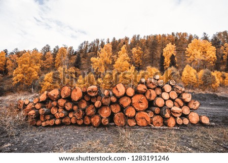 Similar – Foto Bild Holzvorrat hinter Bäumen