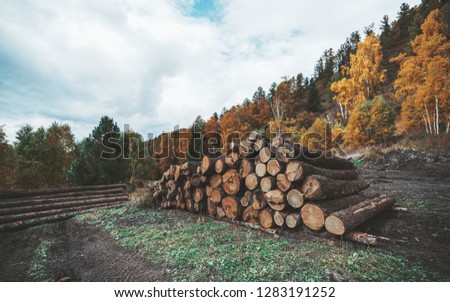 Similar – Foto Bild Holzvorrat hinter Bäumen