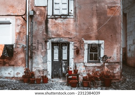 Similar – Image, Stock Photo Orange peels on cobblestones