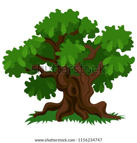 Cartoon Oak Tree Clipart | Free download on ClipArtMag