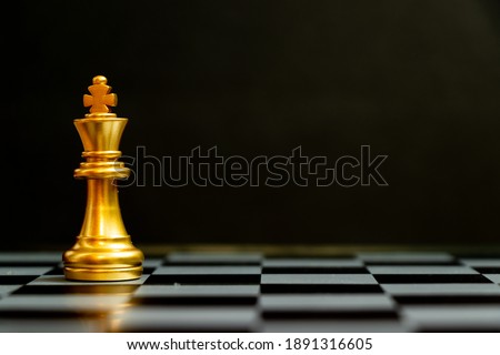 Similar – Image, Stock Photo The game of kings and queens