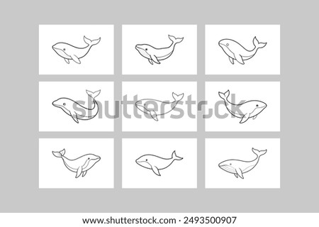 Whale Whole Body 9 set Vector Line Art Illustration.