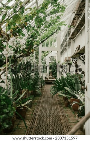 Similar – Image, Stock Photo greenhouse Heligan