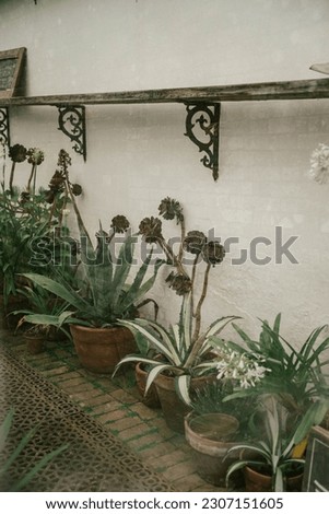 Similar – Image, Stock Photo greenhouse Heligan