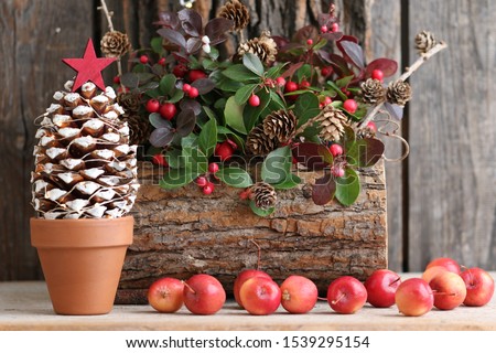 Similar – Image, Stock Photo Apples with pine cones in a vase