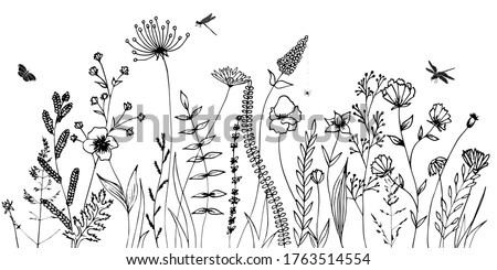 Black silhouettes of grass, flowers, herbs and  various insects isolated on white background. Hand drawn sketch flowers and insects.