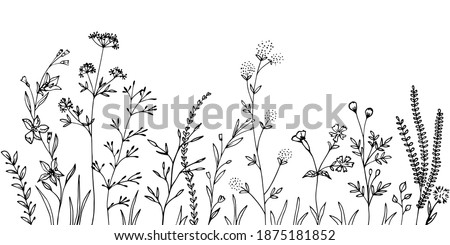 Black silhouettes of grass, flowers and herbs.