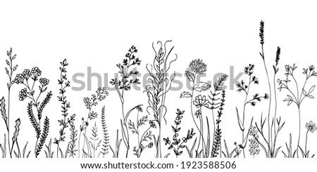 Sketch weeds, herbal, flowers and cereals. Trend elements design.