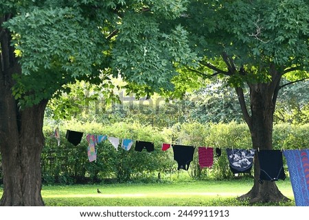 Similar – Image, Stock Photo washing day Grass Bushes