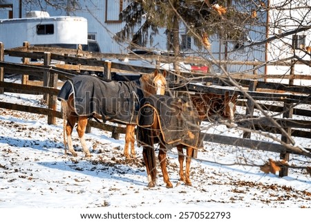 Similar – Image, Stock Photo Two blankets of snow met