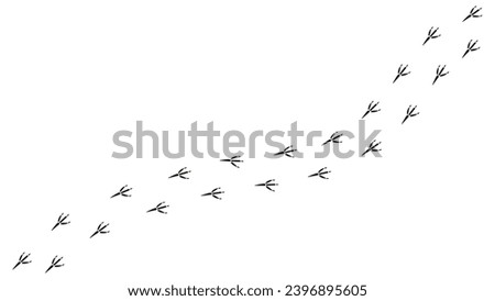 Similar – Image, Stock Photo Crows and magpie on the top sitting on big oak`s branches. Birds sit on a leafless branch against the evening blue sky with the moon. Silhouette of dry tree branches with birds and the moon. Winter season, night landscape, wallpaper, copy space