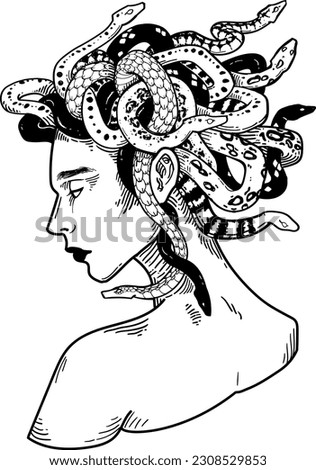 Meduza black and white, ink drawing, snakes