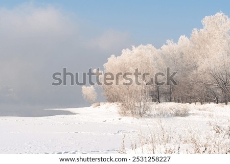 Image, Stock Photo Winter city park Park