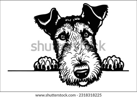 Regal Airedale Terrier dog peeking, with its wiry coat and intelligent gaze, embodying a perfect blend of elegance and liveliness