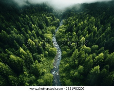 Image, Stock Photo Aerial View Green Forest Woods And River Landscape In Sunny Spring Summer Day. Top View Of Beautiful European Nature From High Attitude In Autumn Season. Drone View. Bird’s Eye View