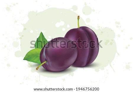 set of purple plum vector illustration with green leaves